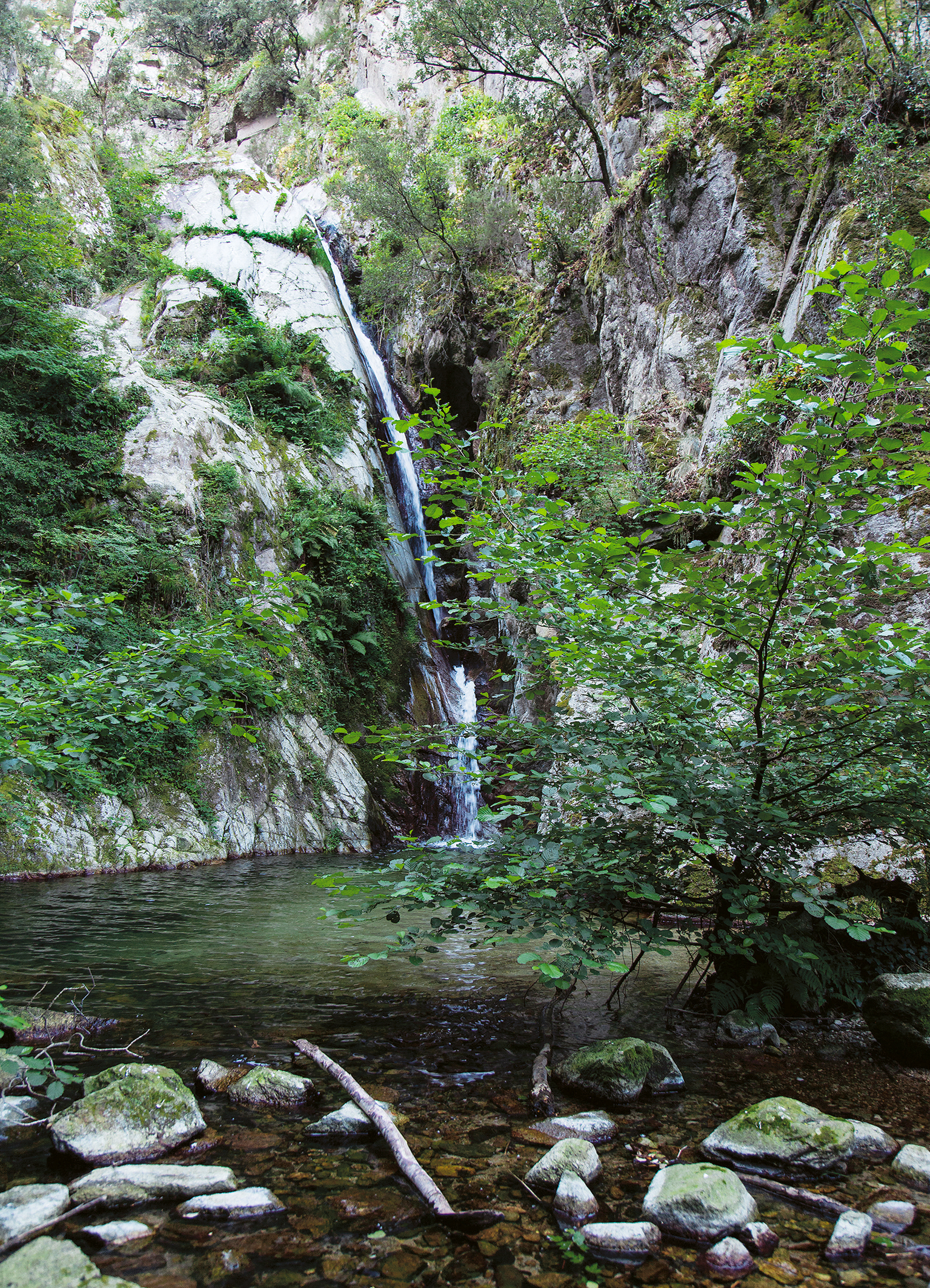Photo-Cascade