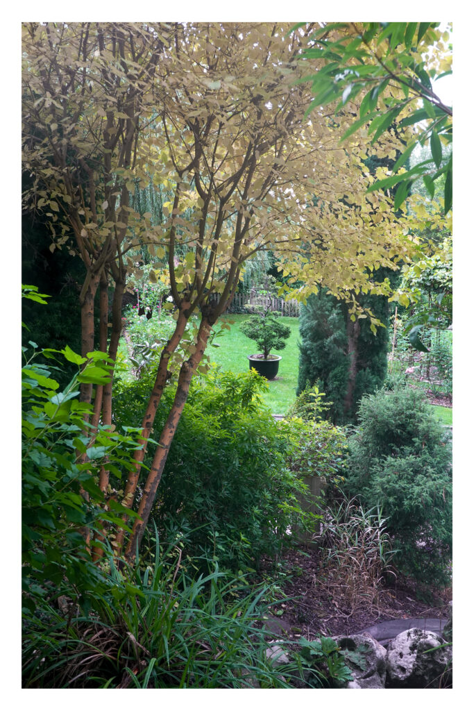 04102019_Jardin_vignes_073-2