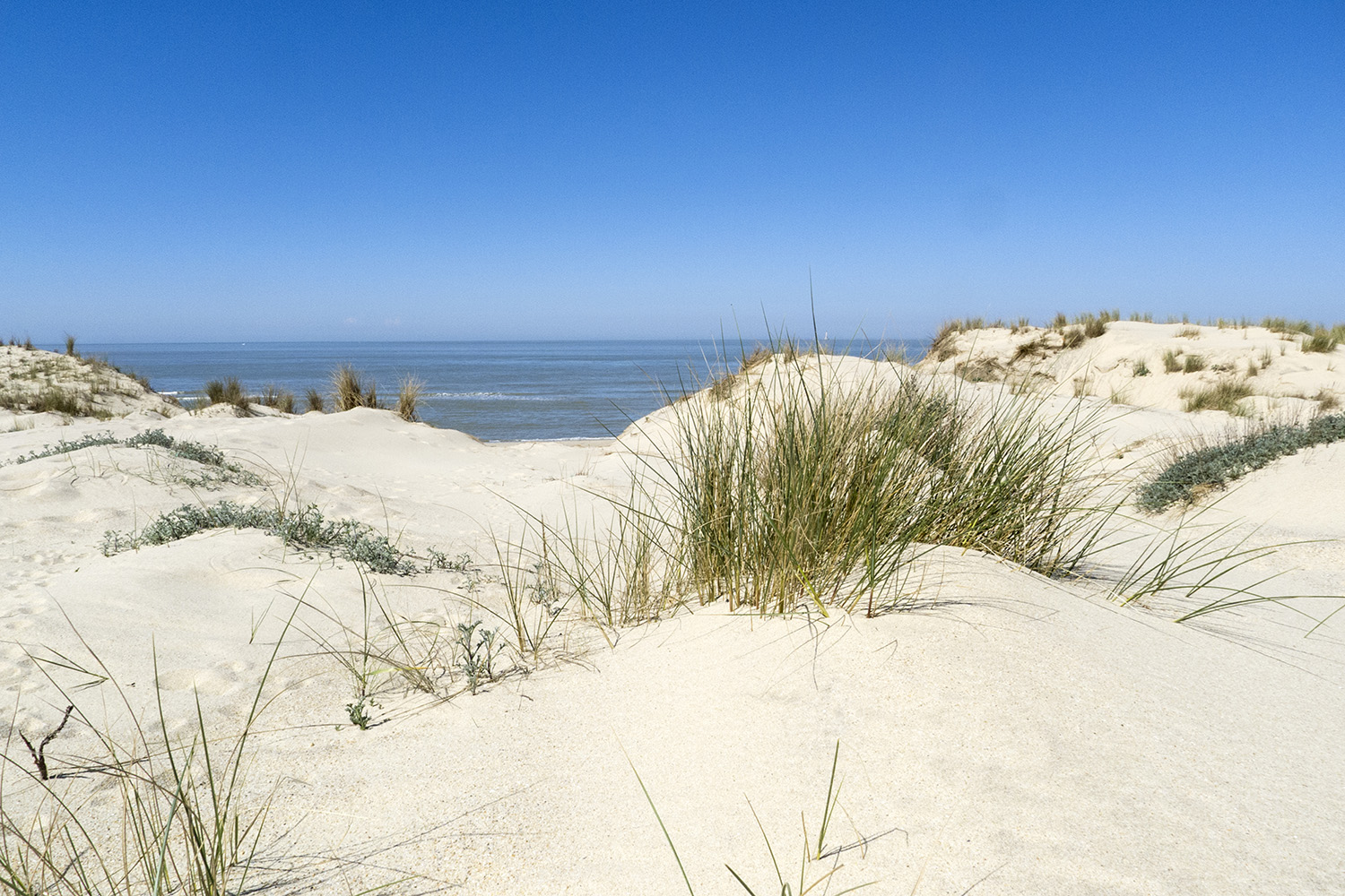 siuneimage-helene-mauri-jacqueline