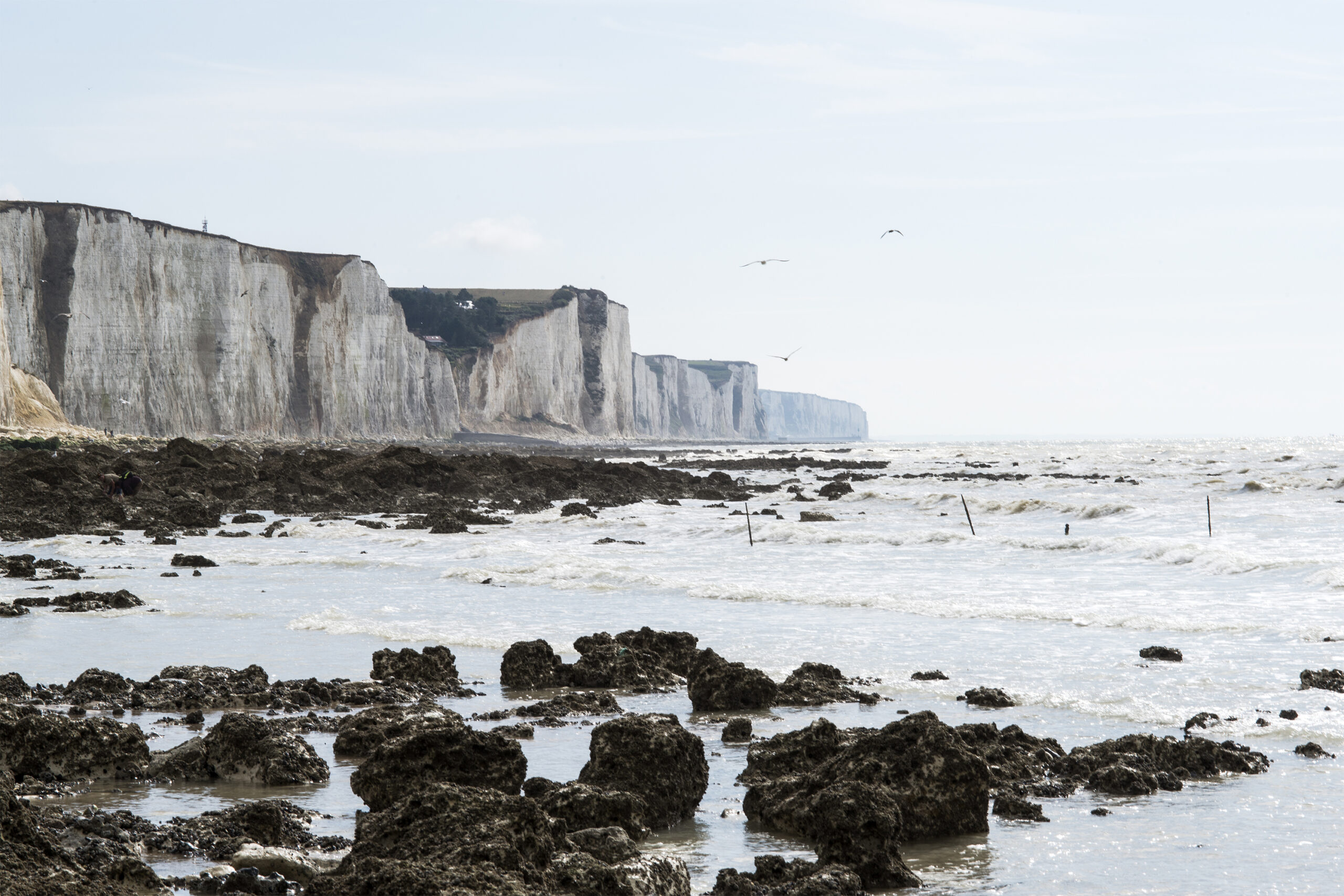 S'il n'y avait qu'une image