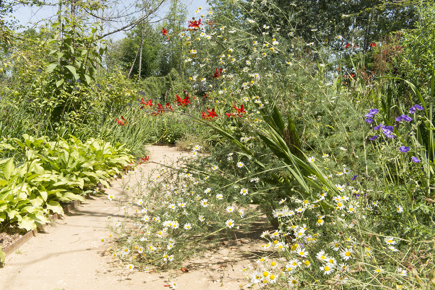 siuneimage-helene-mauri-florine