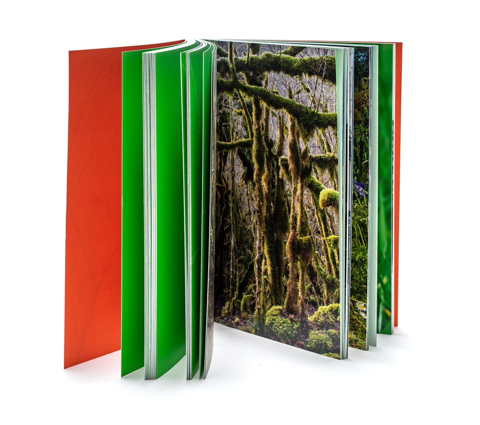 Parution du livre S&rsquo;il n&rsquo;y avait qu&rsquo;une image aux éditions LOCO